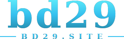 bd29 logo